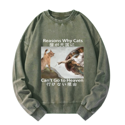 Tokyo-Tiger Naughty Cat Can't Go To Heaven Washed Sweatshirt