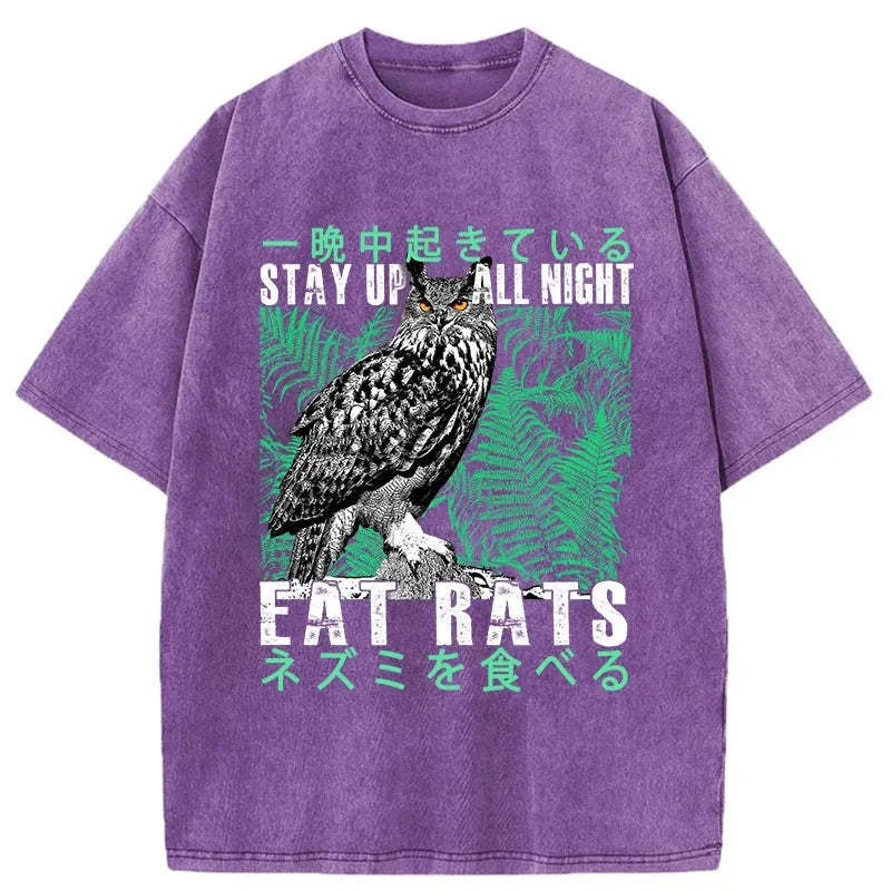 Tokyo-Tiger Owls Prey On Rats At Night Washed T-Shirt