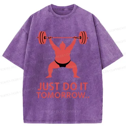 Tokyo-Tiger Sumo Wrestler Lifting Weights Washed T-Shirt