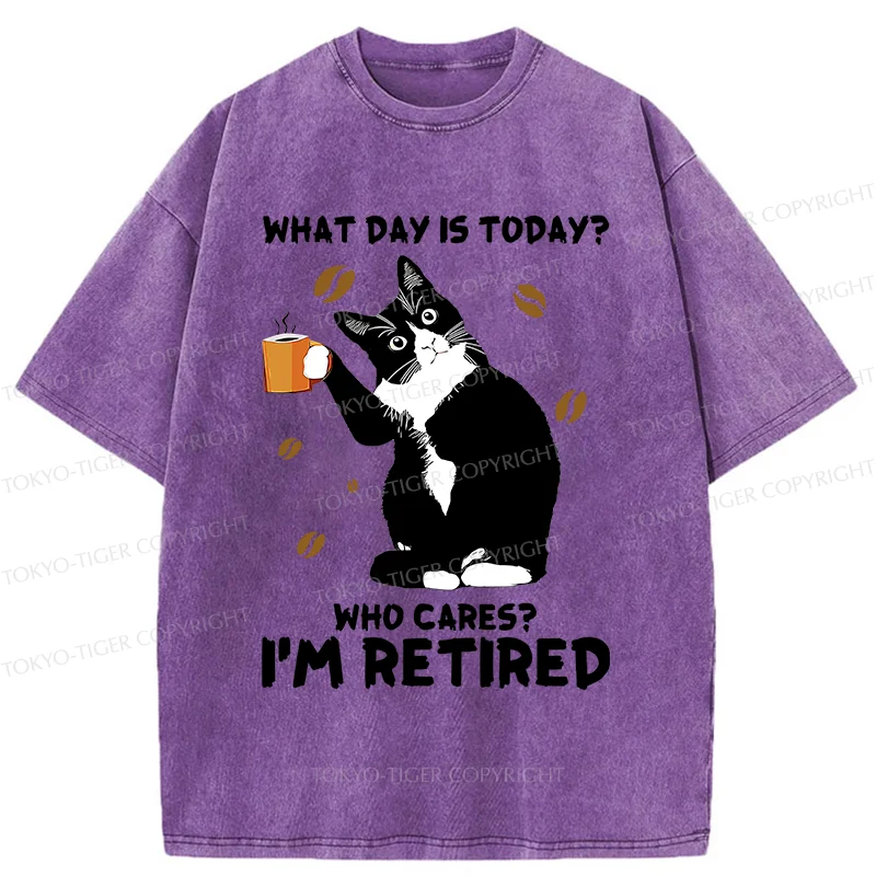 Tokyo-Tiger Retired Cat Washed T-Shirt