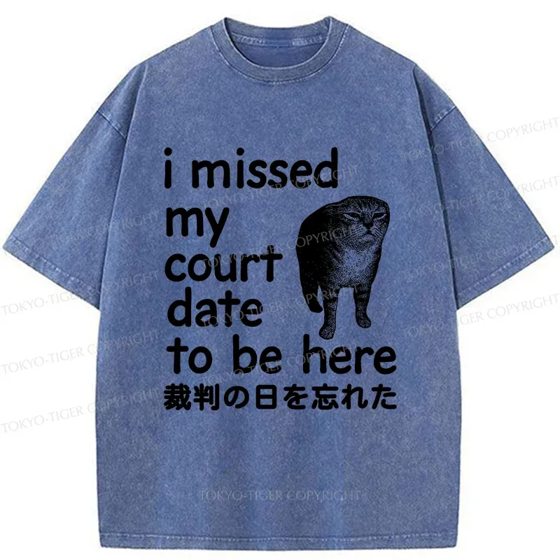 Tokyo-Tiger Funny Forgetful Cat Washed T-Shirt