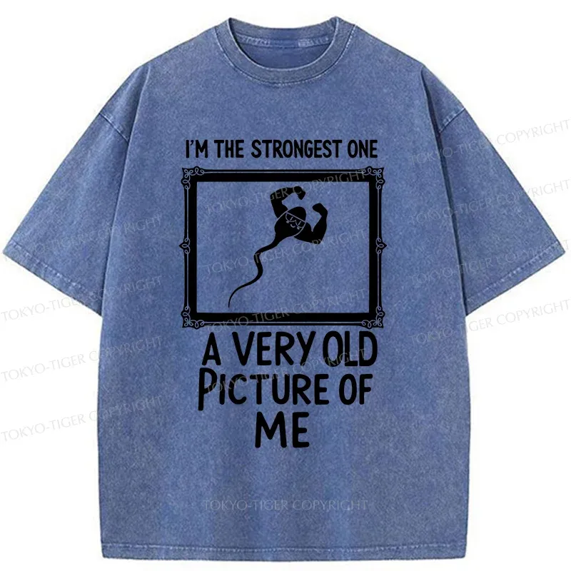 Tokyo-Tiger Old Photos Funny Washed T-Shirt