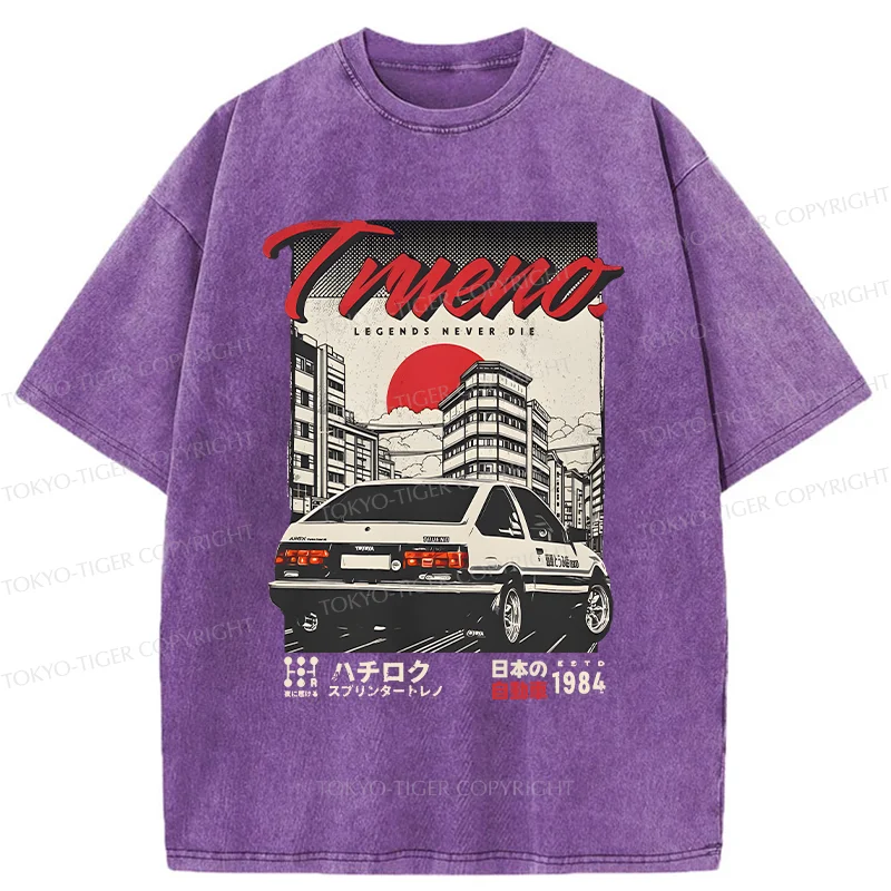 Tokyo-Tiger Retro Japanese Car Funny Washed T-Shirt
