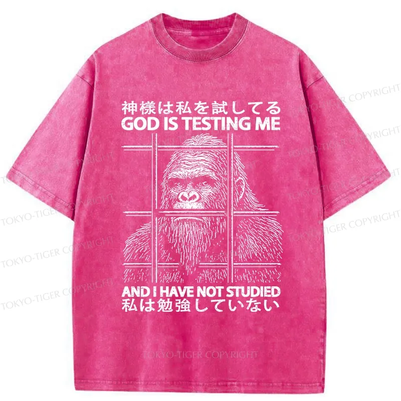 Tokyo-Tiger Funny God Is Testing Me Washed T-Shirt
