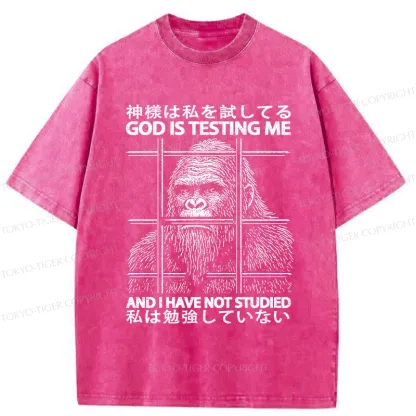 Tokyo-Tiger Funny God Is Testing Me Washed T-Shirt