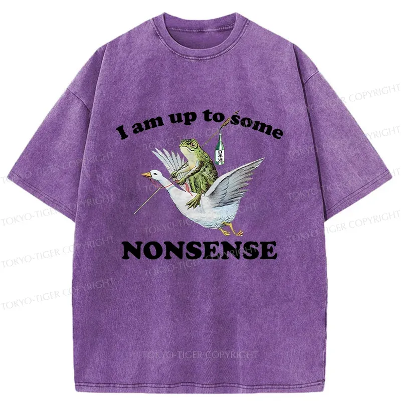 Tokyo-Tiger Frog Riding A Goose Washed T-Shirt