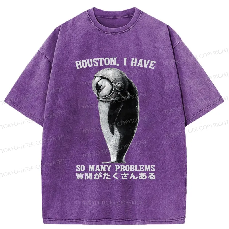 Tokyo-Tiger I Have So Many Problems Washed T-Shirt