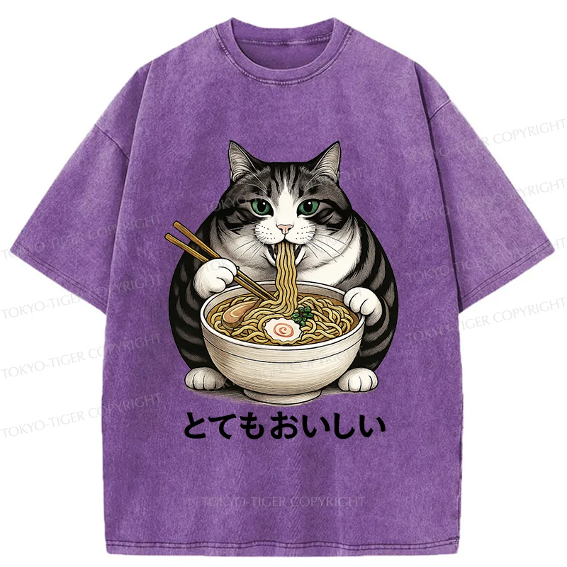Tokyo-Tiger Fat Cat Eating Delicious Ramen Washed T-Shirt