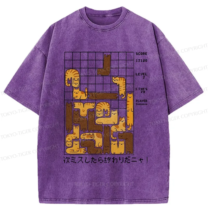 Tokyo-Tiger Funny Next Mistake Is The End Washed T-Shirt