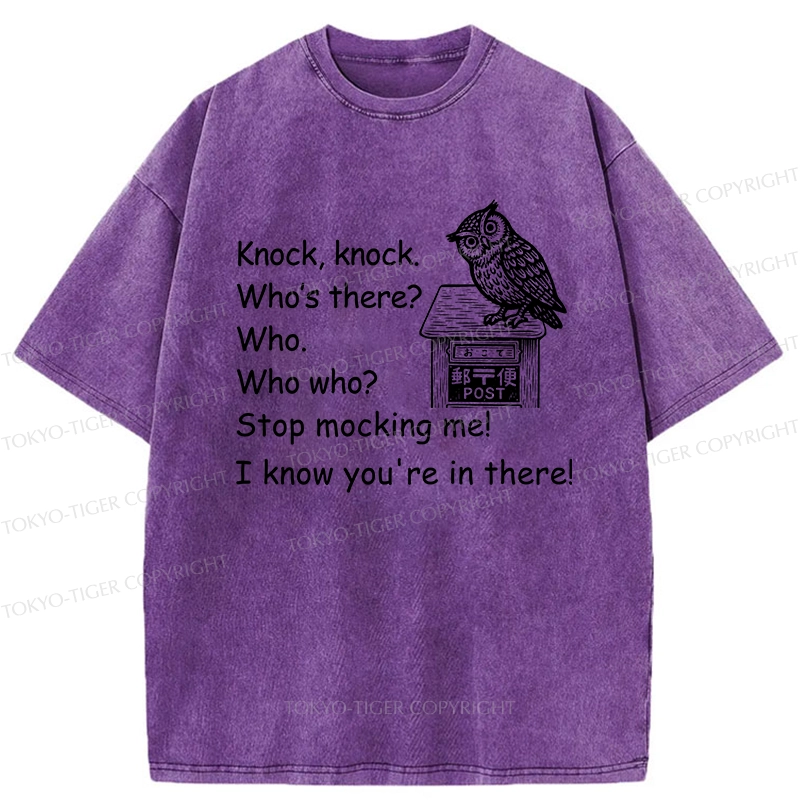 Tokyo-Tiger Knock Knock Funny Owl Washed T-Shirt