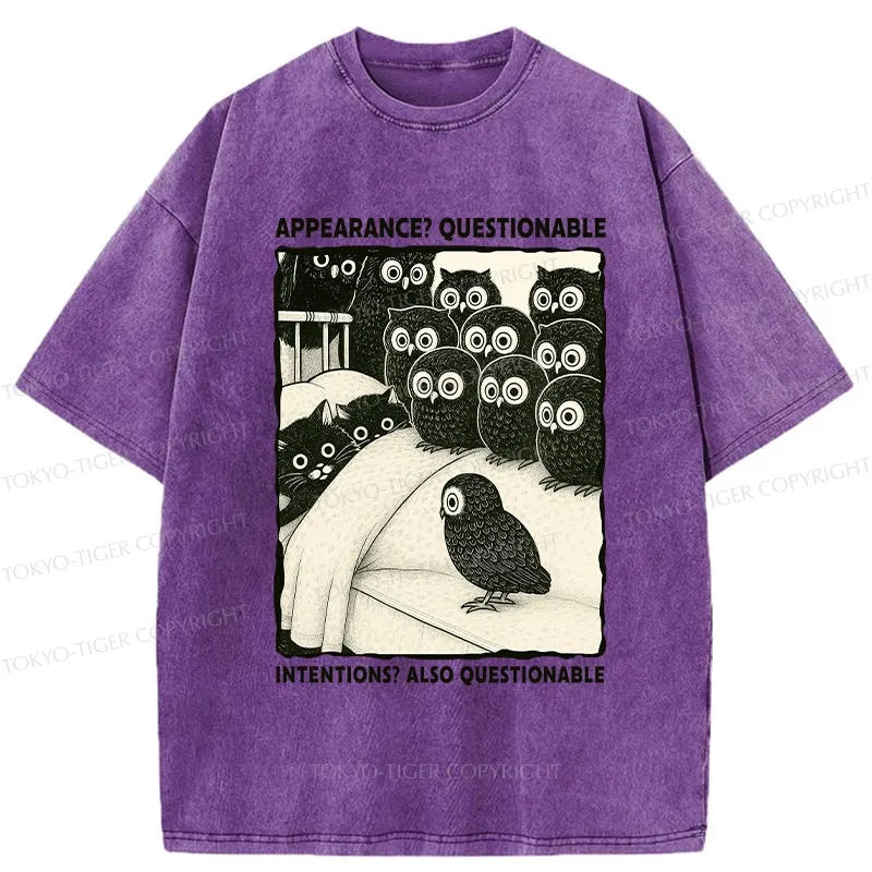 Tokyo-Tiger Appearance And Intentions Questionable Washed T-Shirt