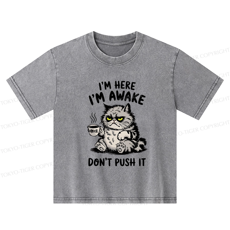 Tokyo-Tiger Tired Cat Kids Washed T-Shirt