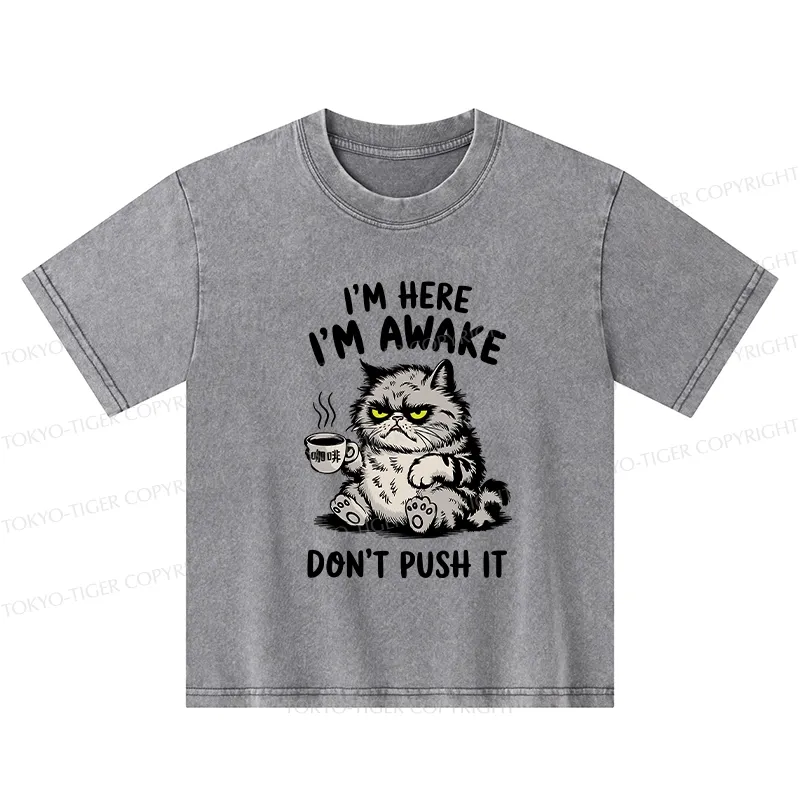 Tokyo-Tiger Tired Cat Kids Washed T-Shirt
