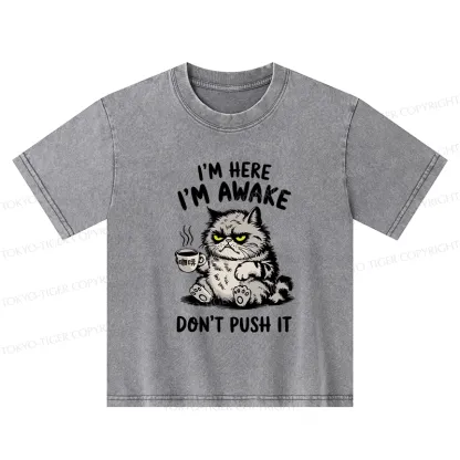Tokyo-Tiger Tired Cat Kids Washed T-Shirt
