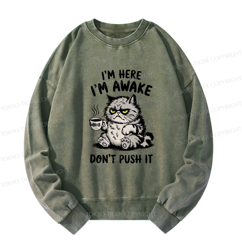 Tokyo-Tiger Tired Cat Washed Sweatshirt