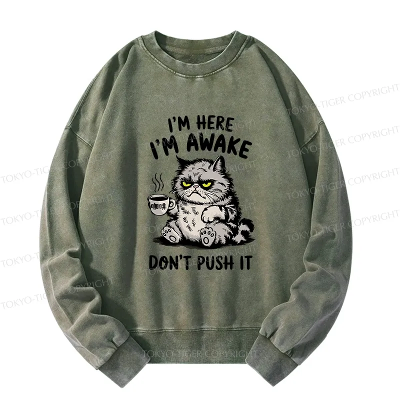 Tokyo-Tiger Tired Cat Washed Sweatshirt