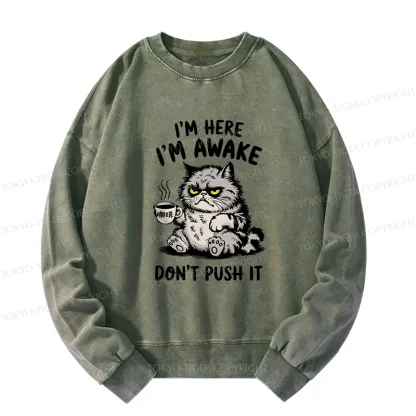 Tokyo-Tiger Tired Cat Washed Sweatshirt