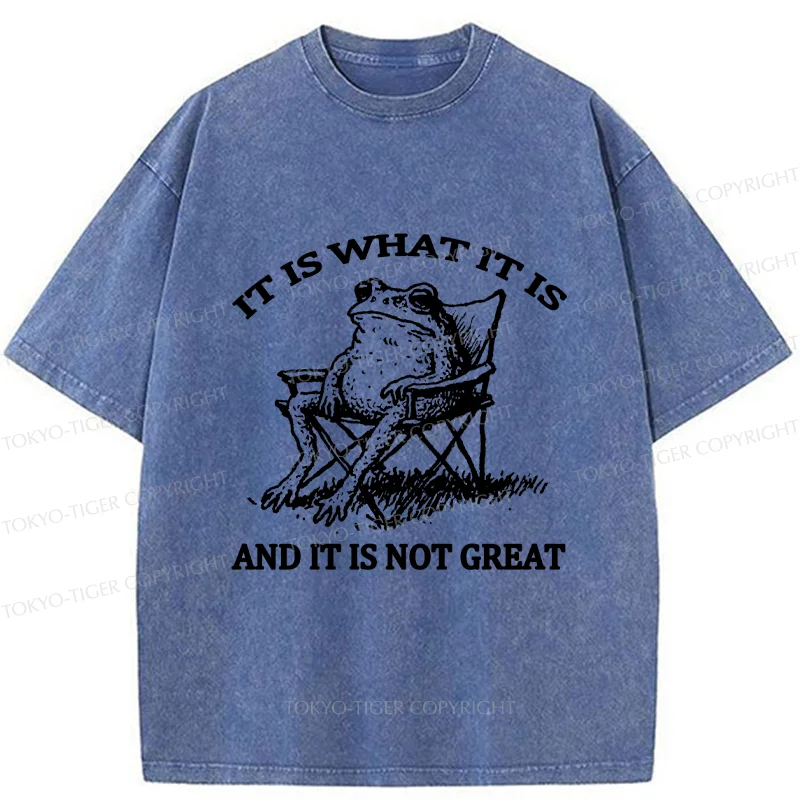 Tokyo-Tiger Resting Frog Funny Washed T-Shirt