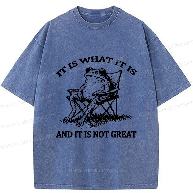 Tokyo-Tiger Resting Frog Funny Washed T-Shirt
