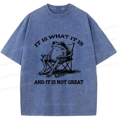 Tokyo-Tiger Resting Frog Funny Washed T-Shirt