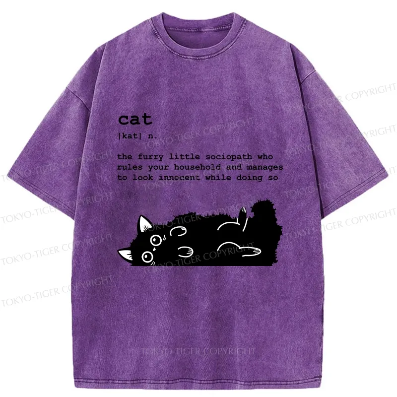 Tokyo-Tiger Definition Of Cat Funny Washed T-Shirt