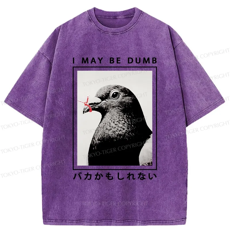 Tokyo-Tiger I May Be Dumb Funny Washed T-Shirt