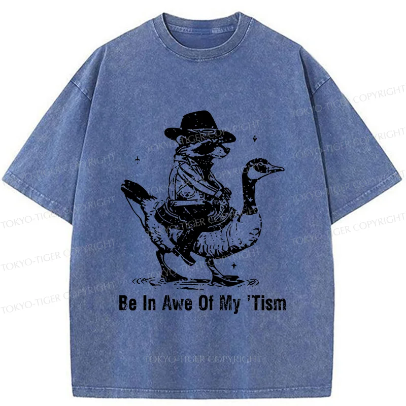 Tokyo-Tiger Raccoon Riding A Goose Washed T-Shirt