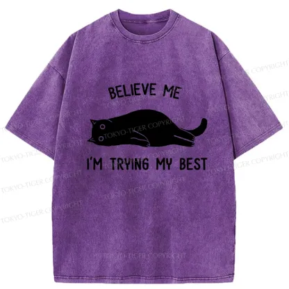 Tokyo-Tiger Believe Me I'm Trying My Best Washed T-Shirt