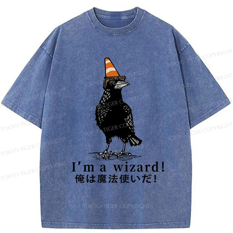 Tokyo-Tiger Magic Crow Washed T-Shirt