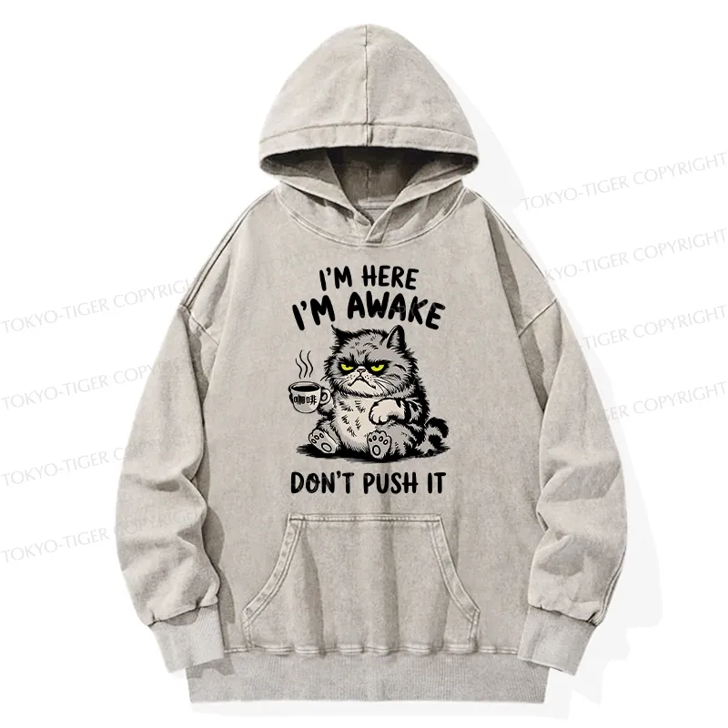 Tokyo-Tiger Tired Cat Washed Hoodie