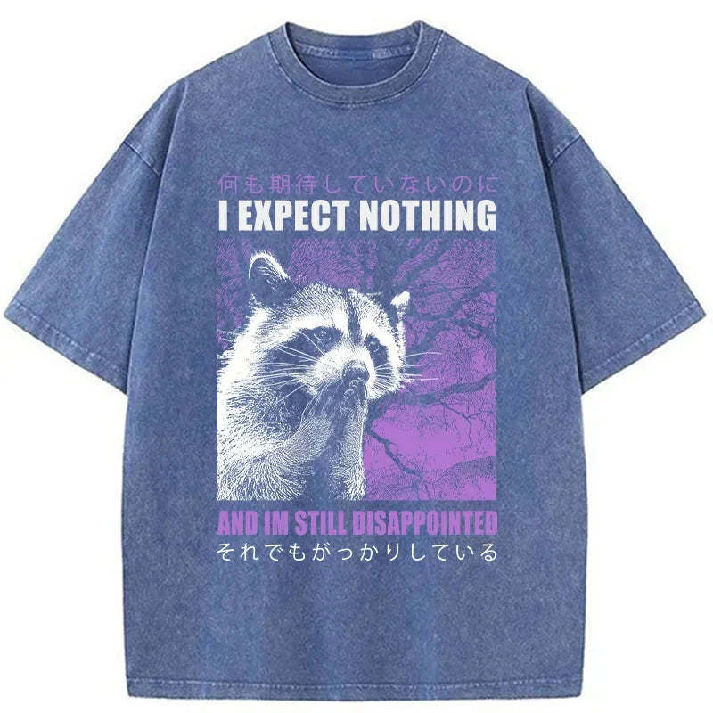 Tokyo-Tiger Disappointed Raccoon Japanese Washed T-Shirt Sale