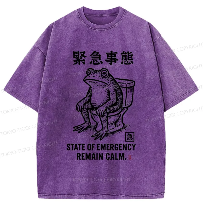 Tokyo-Tiger Funny Remain Calm Frog Washed T-Shirt