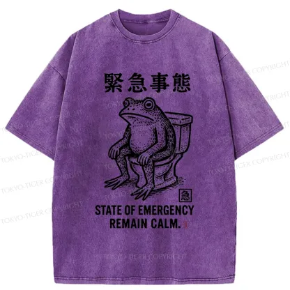 Tokyo-Tiger Funny Remain Calm Frog Washed T-Shirt
