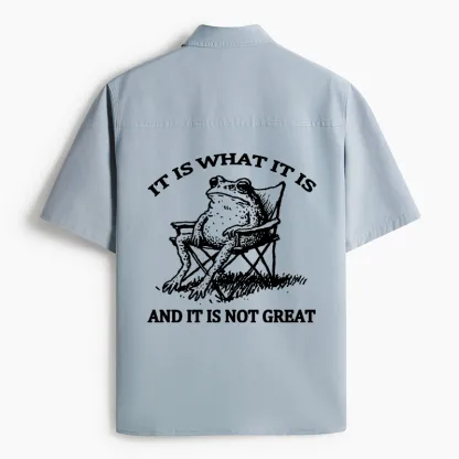 Tokyo-Tiger Resting Frog Funny Work Shirt