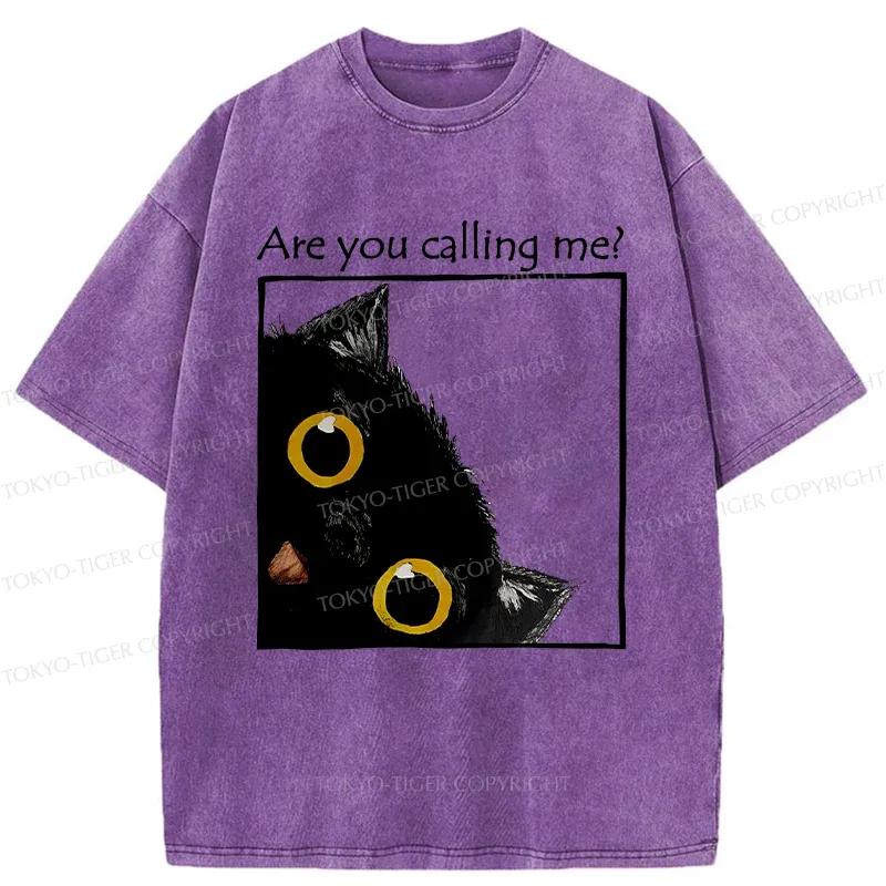 Tokyo-Tiger Silly Kitten Washed T-Shirt