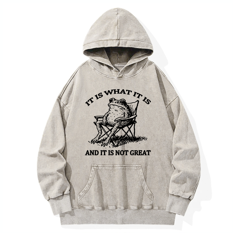 Tokyo-Tiger Resting Frog Funny Washed Hoodie