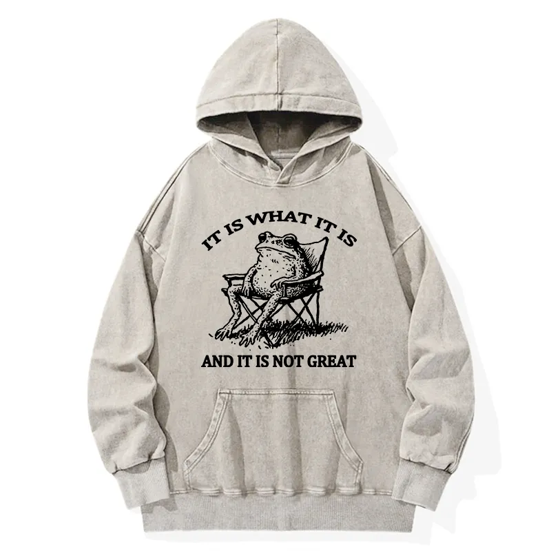 Tokyo-Tiger Resting Frog Funny Washed Hoodie