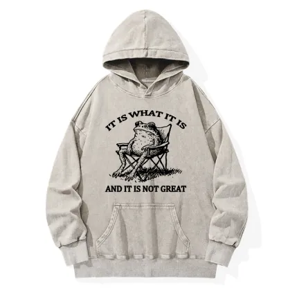 Tokyo-Tiger Resting Frog Funny Washed Hoodie