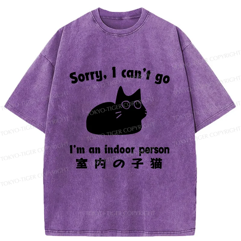 Tokyo-Tiger Indoor Kitten Japan Washed T-Shirt