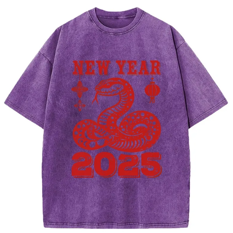 Tokyo-Tiger New Year 2025 Washed T-Shirt