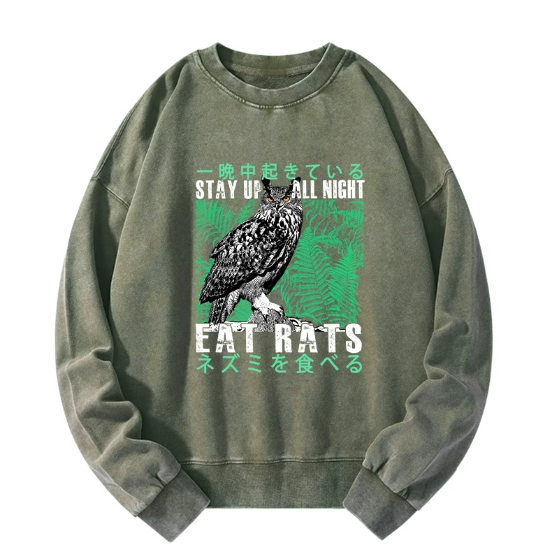 Tokyo-Tiger Owls Prey On Rats At Night Washed Sweatshirt