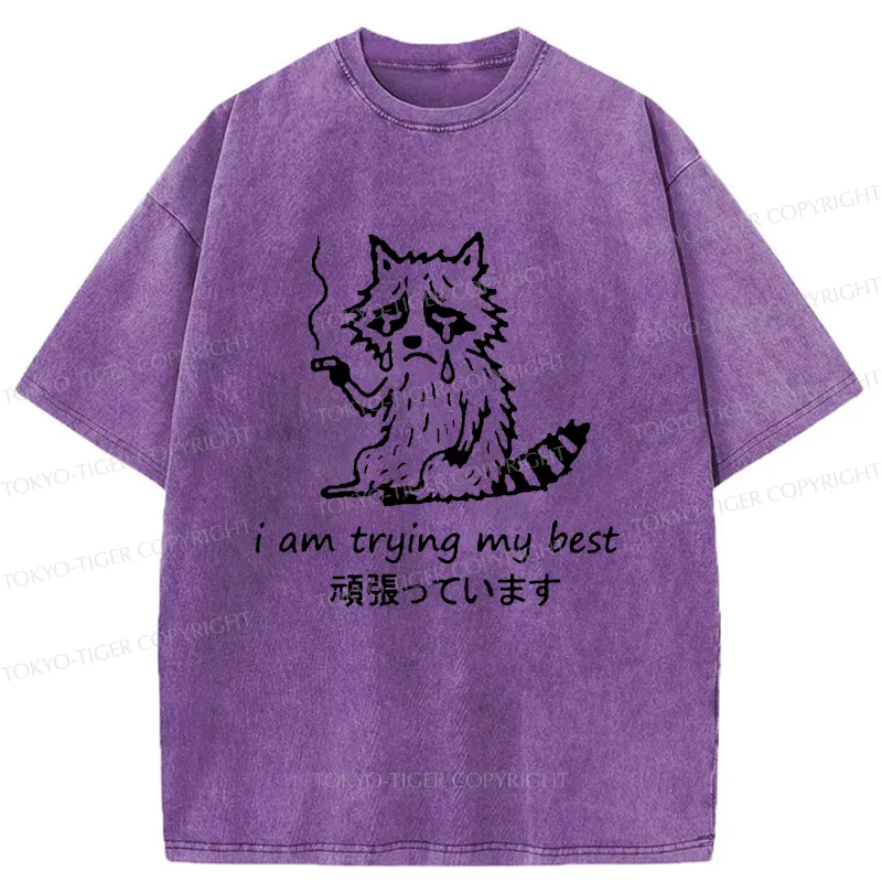 Tokyo-Tiger Raccoon Tried His Best Washed T-Shirt