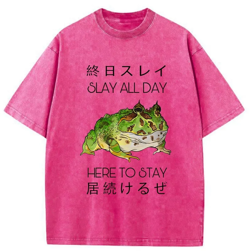 Tokyo-Tiger Slay All Day Washed T-Shirt