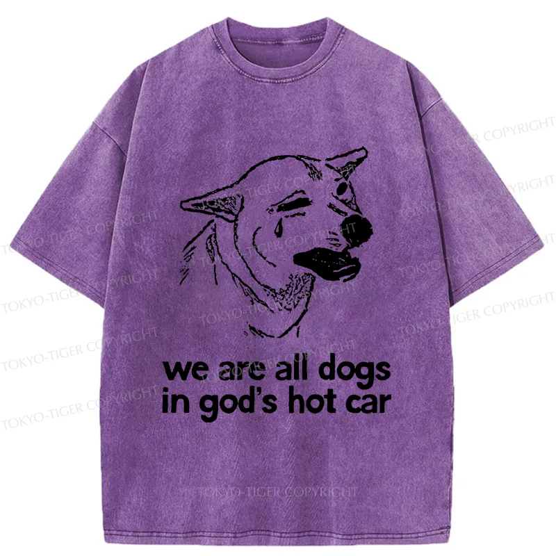 Tokyo-Tiger Sad Dog Funny Washed T-Shirt