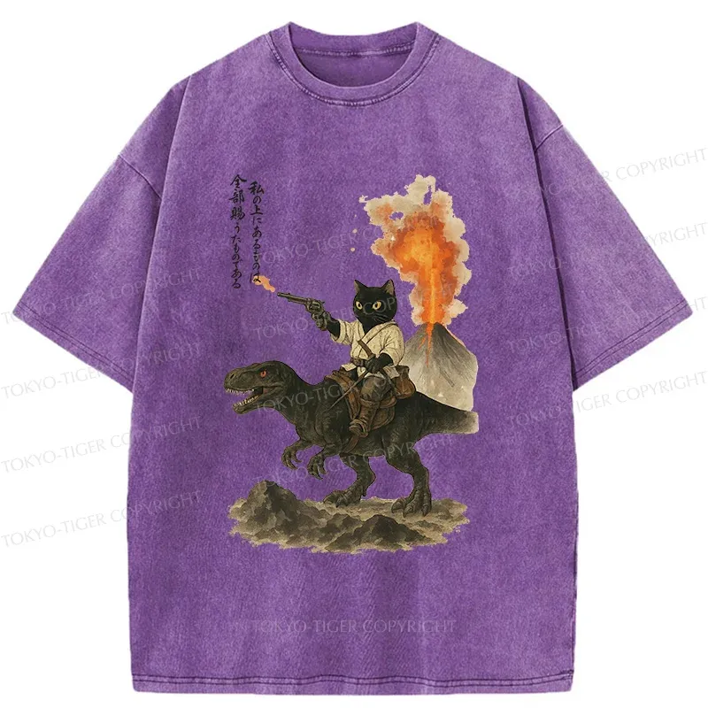 Tokyo-Tiger Cat Riding A Dinosaur Washed T-Shirt
