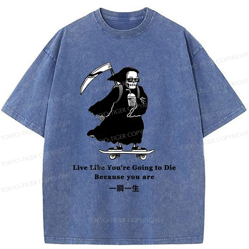 Tokyo-Tiger Death Skateboard Washed T-Shirt
