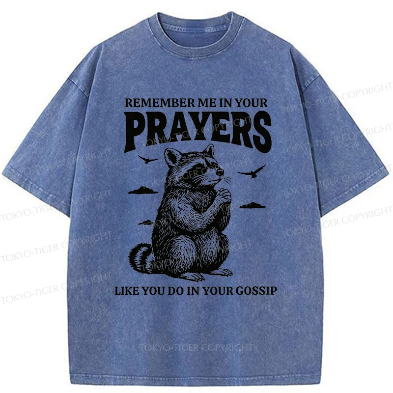 Tokyo-Tiger Raccoon Prayer Washed T-Shirt