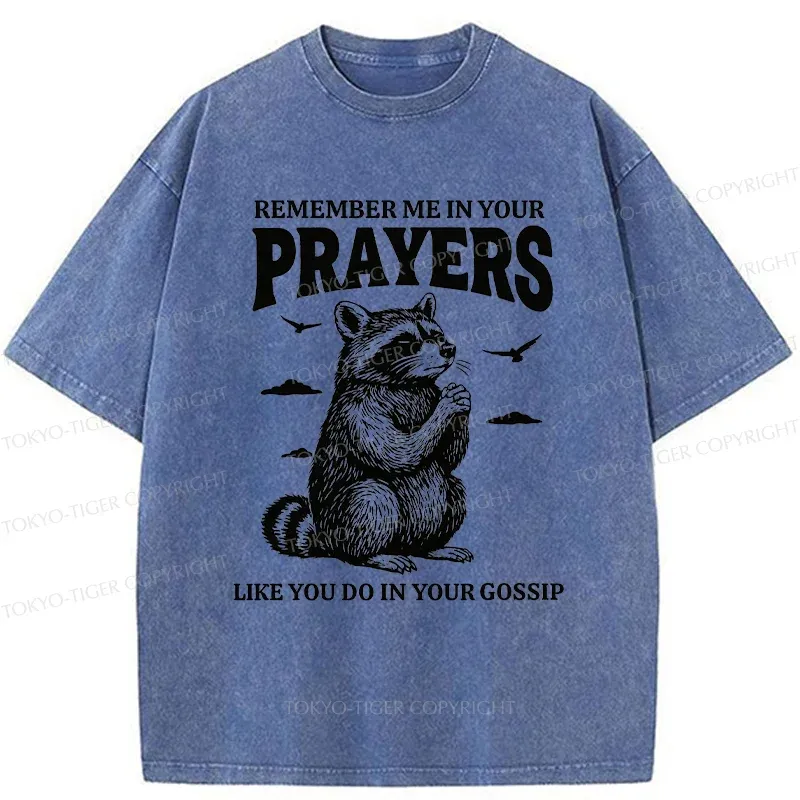 Tokyo-Tiger Raccoon Prayer Washed T-Shirt
