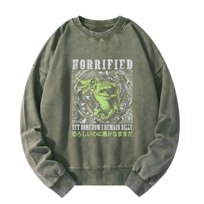 Tokyo-Tiger Silly Frog Japanese Washed Sweatshirt