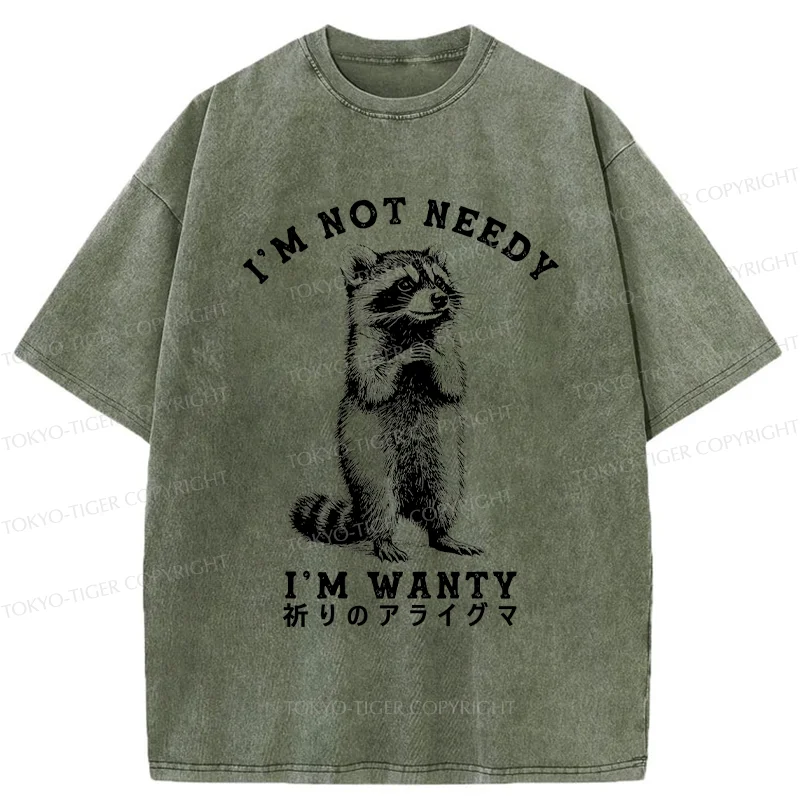 Tokyo-Tiger Praying Raccoon Washed T-Shirt